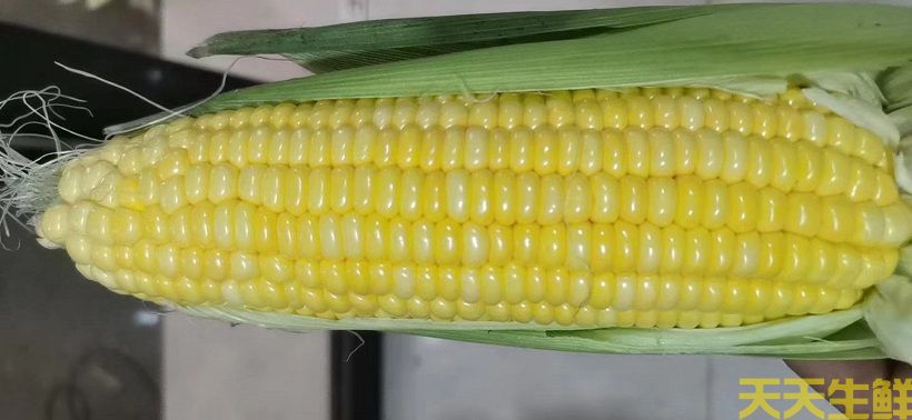 ũƷ͸㣬׵ƷЩ(ͼ1)