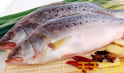 ߲͹˾㣺ΪʲôЩ˲ܳ㣿(ͼ1)