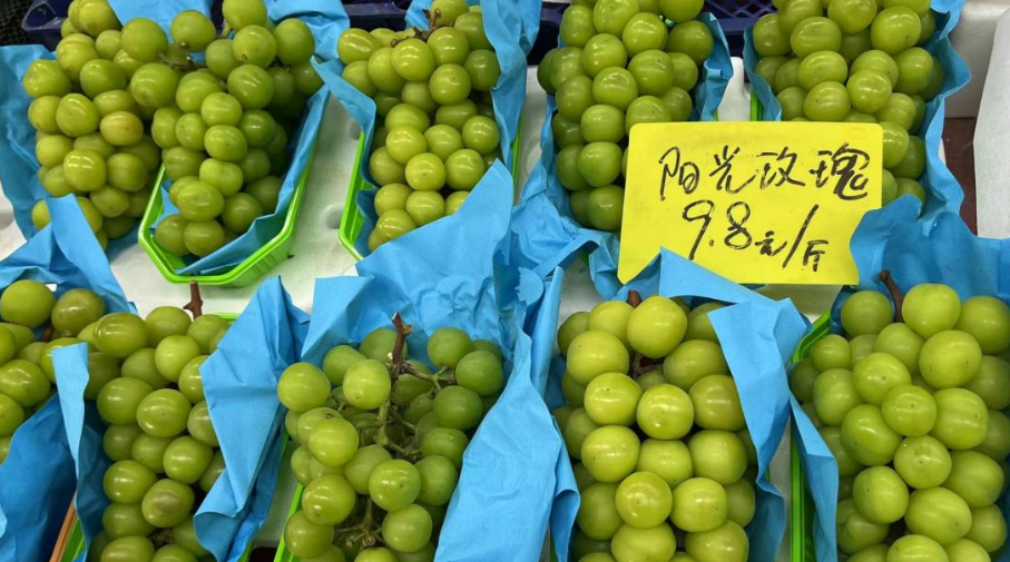 为什么阳光玫瑰青提的价格今年这么便宜?(图2) 为什么阳光玫瑰青提的价格今年这么便宜?(图2)