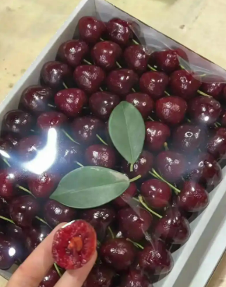 为什么今年车厘子这么便宜?(图3) 为什么今年车厘子这么便宜?(图3)