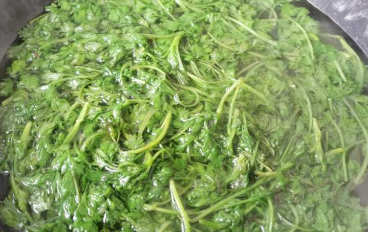 关于艾叶,你知道多少?(图2) 关于艾叶,你知道多少?(图2)